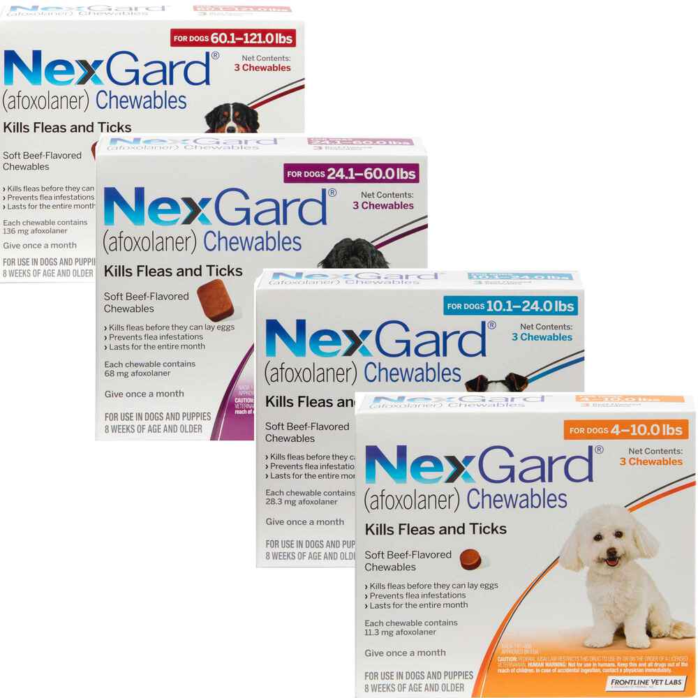 NexGard Vet-Recommended Flea & Tick Prevention Chewables for Dogs 4-10 lbs