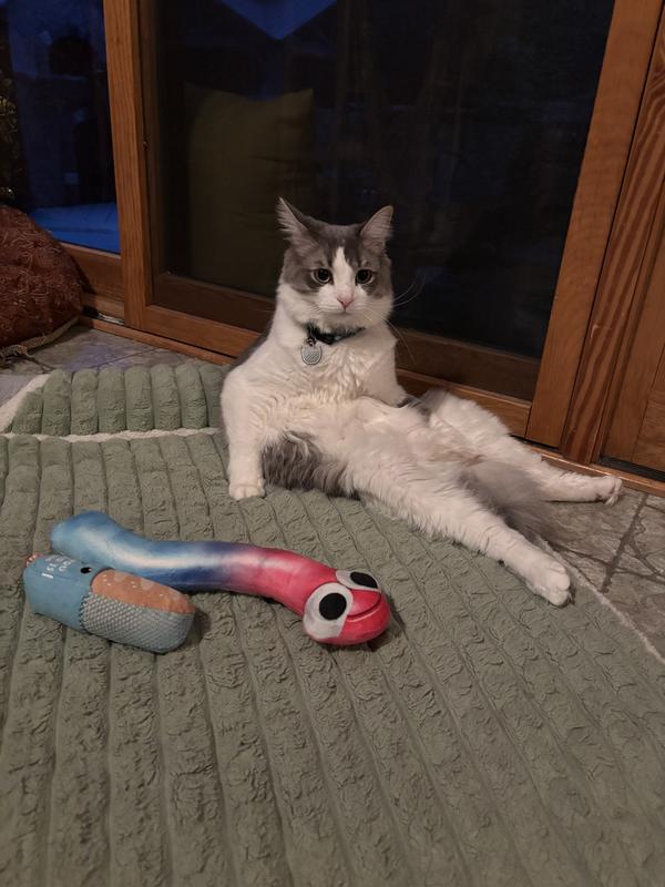 Hill's Science Diet Adult Perfect Weight Chicken Recipe Dry Cat Food for Optimal Health