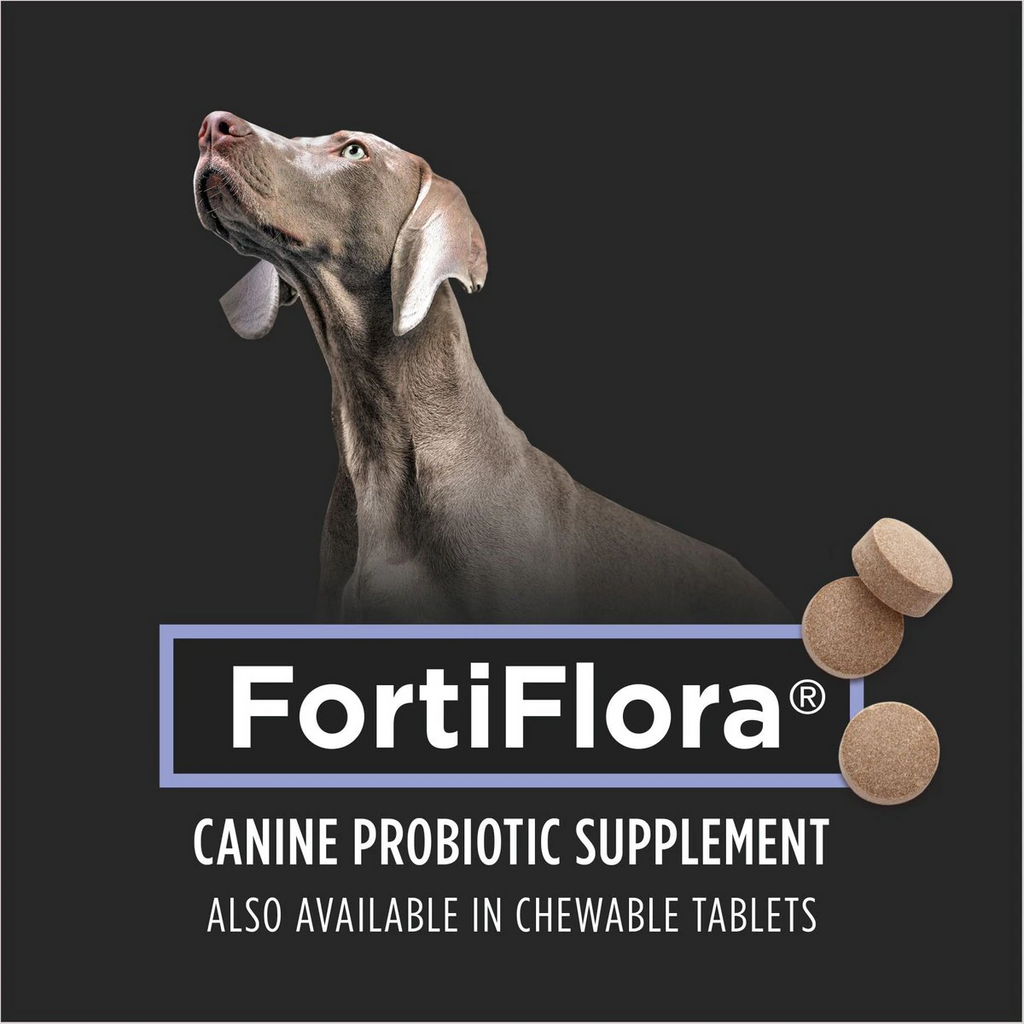 Purina FortiFlora Canine Probiotic: Vet-Recommended Digestive Support for Dog Gut Health