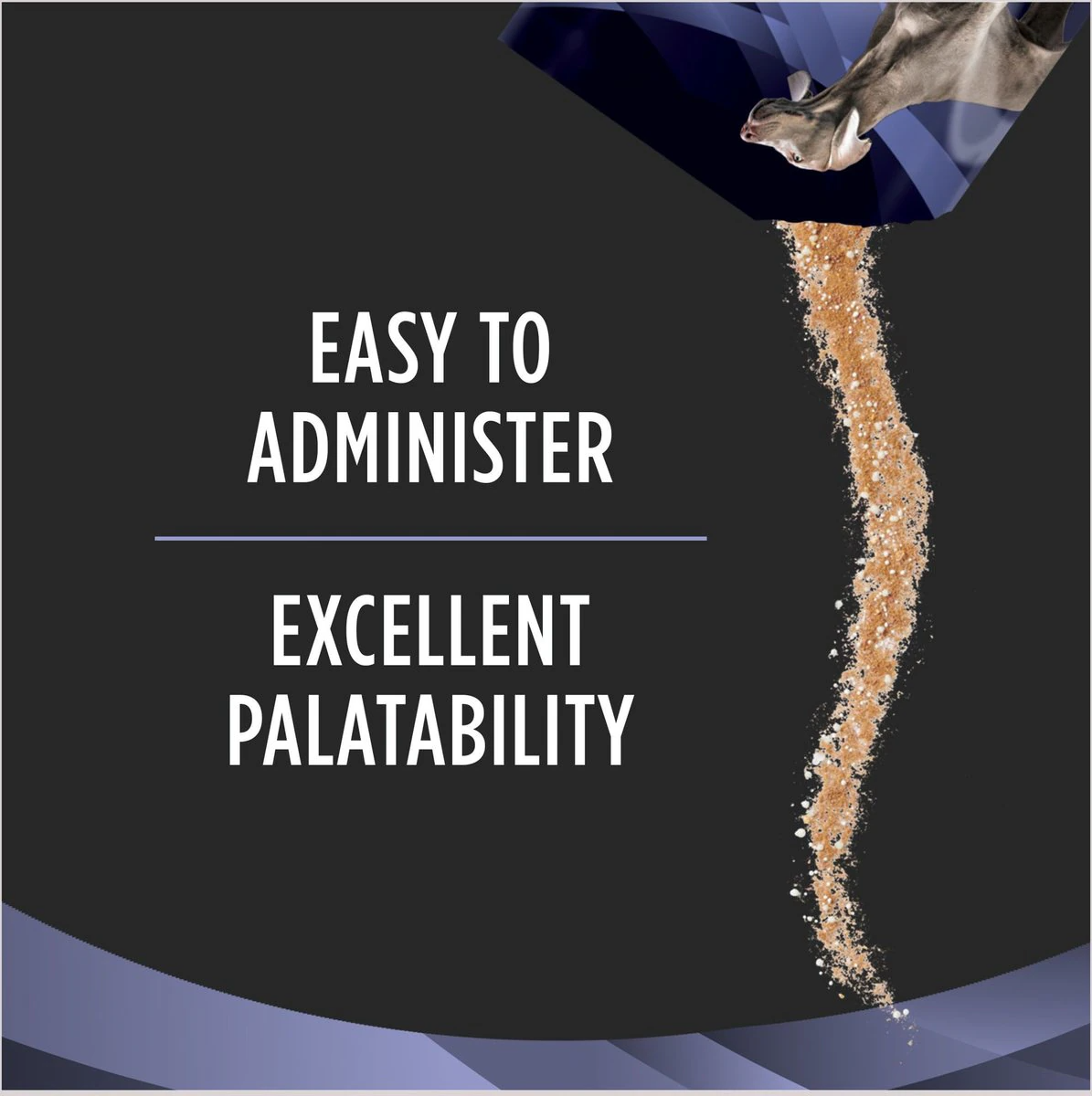 Purina FortiFlora Canine Probiotic: Vet-Recommended Digestive Support for Dog Gut Health