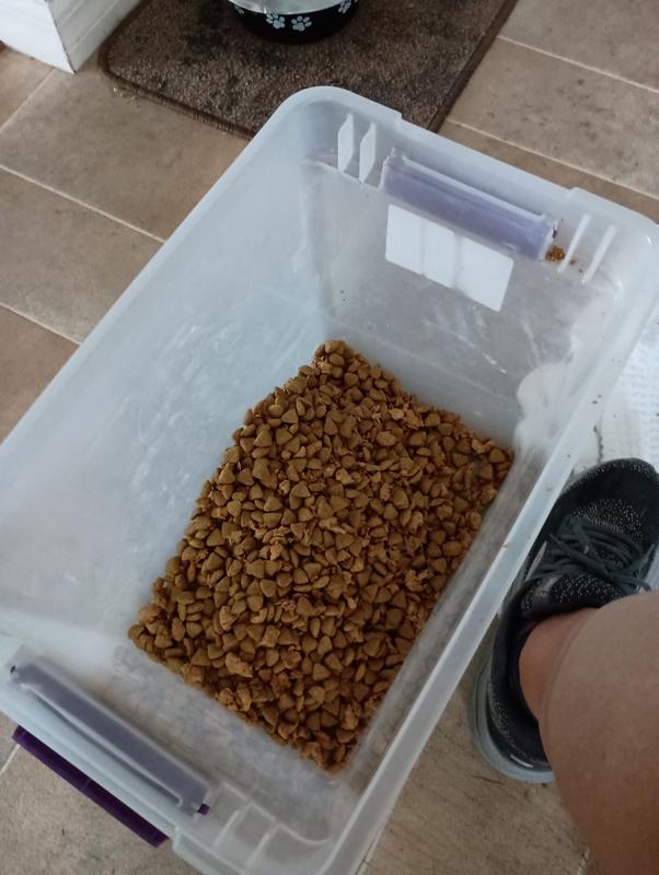 Purina Pro Plan Adult Complete Essentials Shredded Chicken, Rice Dry Dog Food