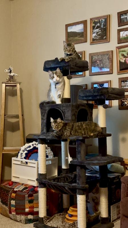 Hill's Science Diet Adult Perfect Weight Chicken Recipe Dry Cat Food for Optimal Health