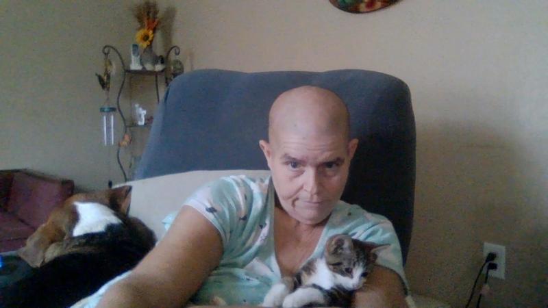 Taste of the Wild Canyon River Feline Recipe: Trout Salmon Wet Cat Food