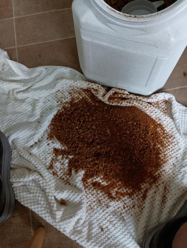 Purina Pro Plan Adult Complete Essentials Shredded Chicken, Rice Dry Dog Food