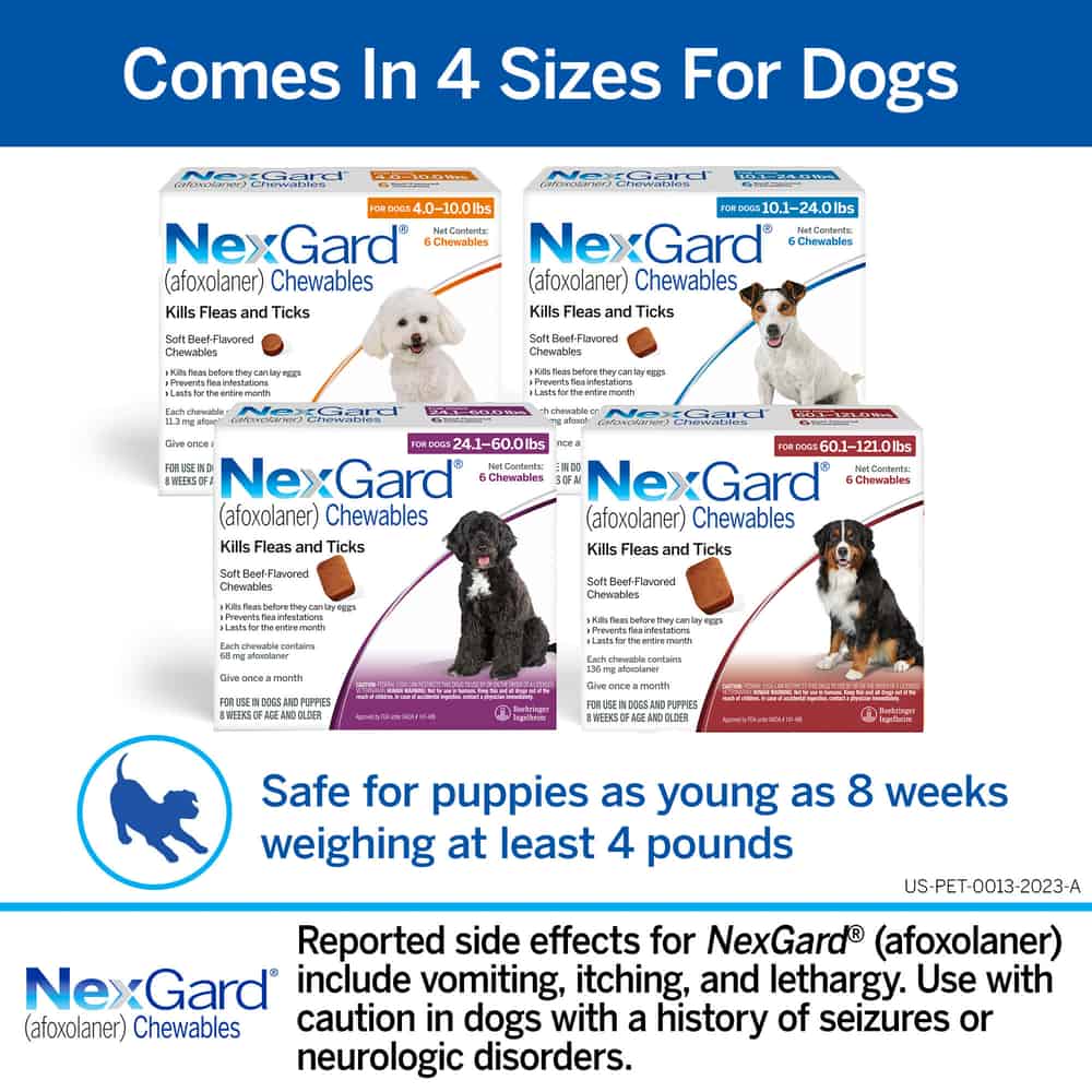 NexGard Vet-Recommended Flea & Tick Prevention Chewables for Dogs 4-10 lbs