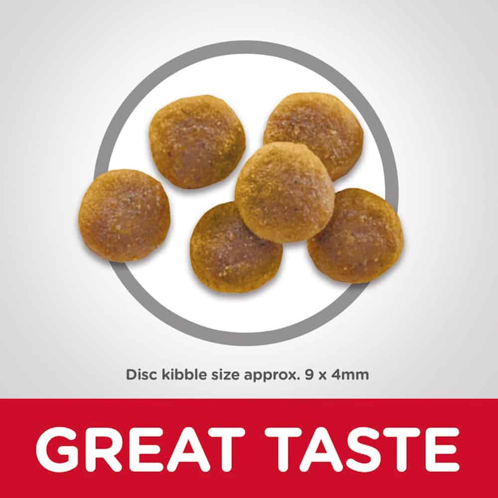 Hill's Science Diet Adult Chicken Dry Cat Food: Digestive Health, Shiny Coat, Strong Muscles