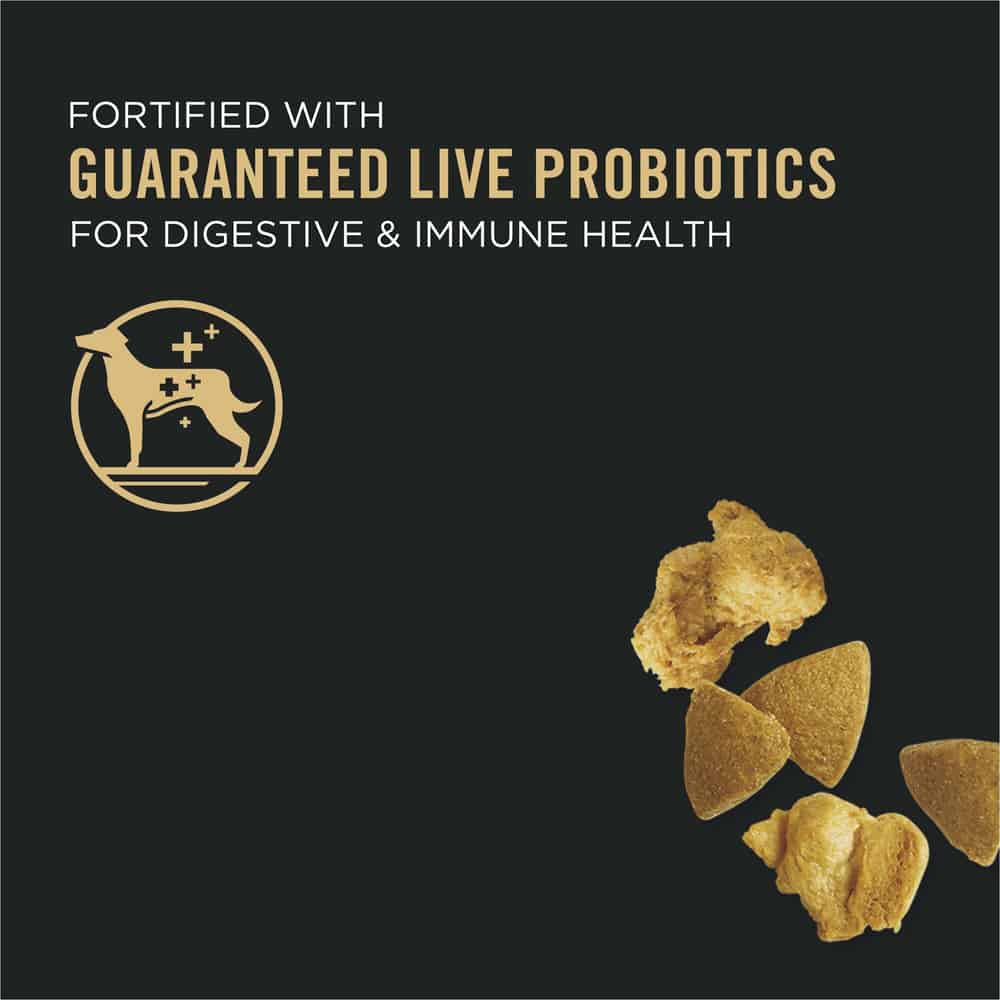 Purina Pro Plan Adult Complete Essentials Shredded Chicken, Rice Dry Dog Food