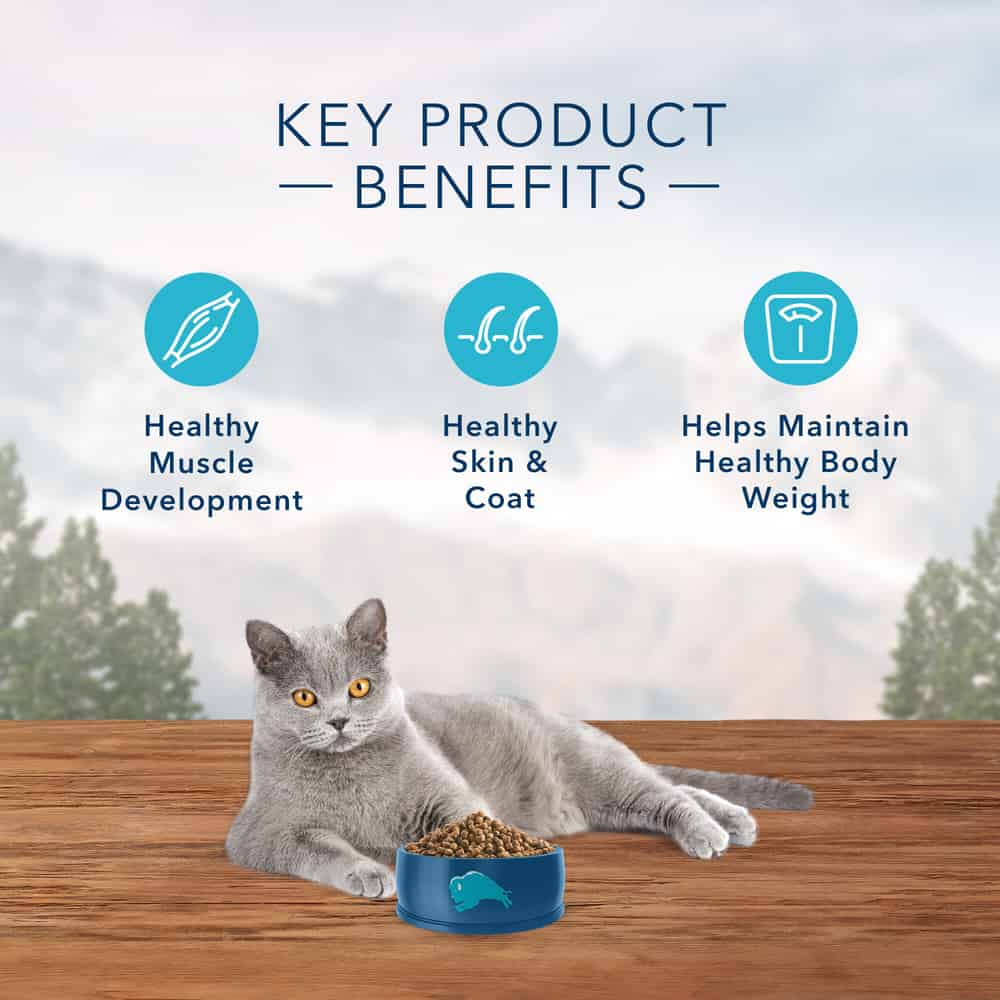 BLUE Wilderness Adult Indoor Chicken Dry Cat Food - High Protein Formula