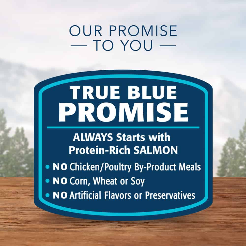 Blue Buffalo Wilderness Kitten Salmon Recipe High-Protein Wet Cat Food 3oz Case-24
