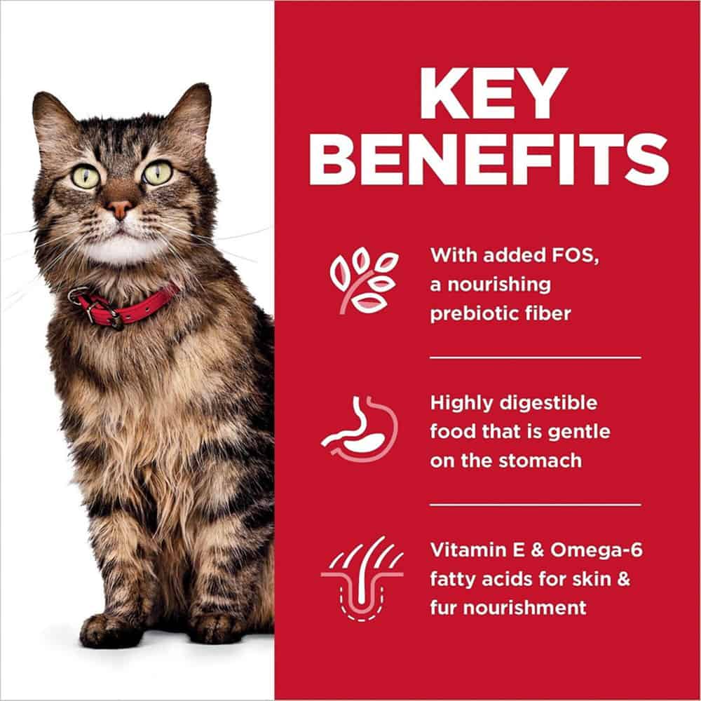 Hill's Science Diet Adult Sensitive Stomach & Skin Chicken Dry Cat Food