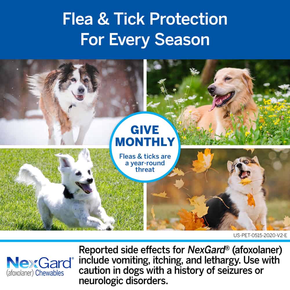 NexGard Vet-Recommended Flea & Tick Prevention Chewables for Dogs 4-10 lbs
