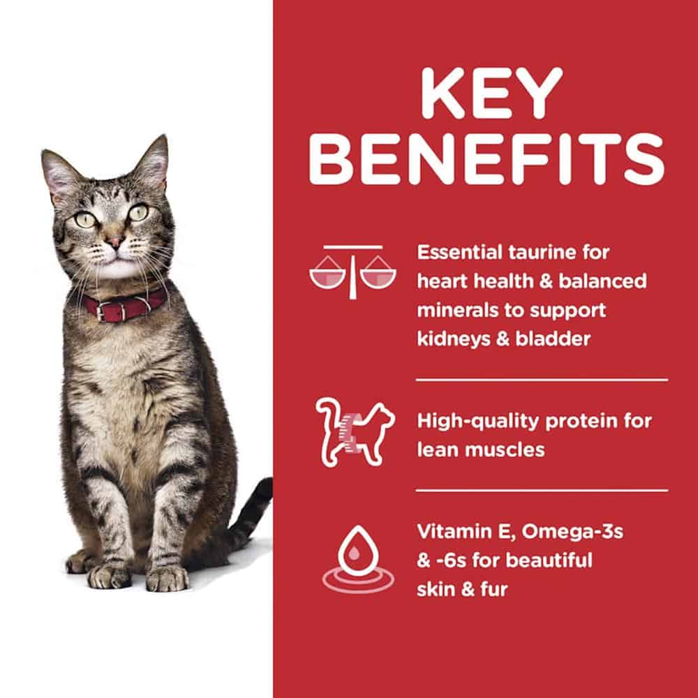 Hill's Science Diet Adult Chicken Dry Cat Food: Digestive Health, Shiny Coat, Strong Muscles