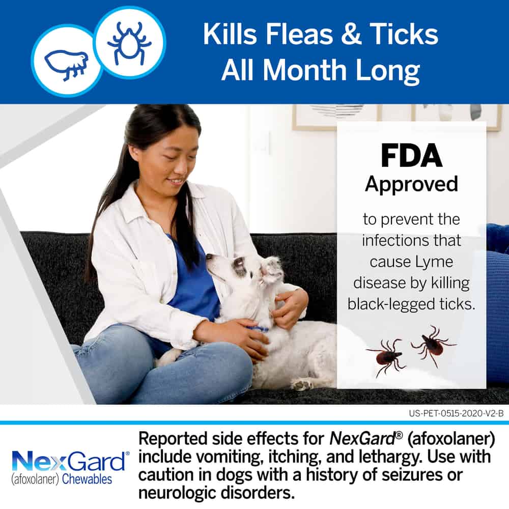 NexGard Vet-Recommended Flea & Tick Prevention Chewables for Dogs 4-10 lbs