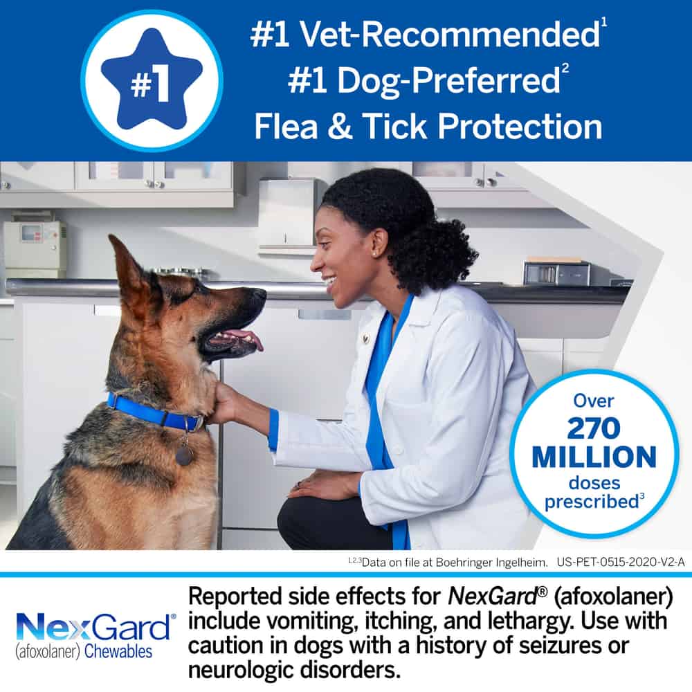 NexGard Vet-Recommended Flea & Tick Prevention Chewables for Dogs 4-10 lbs