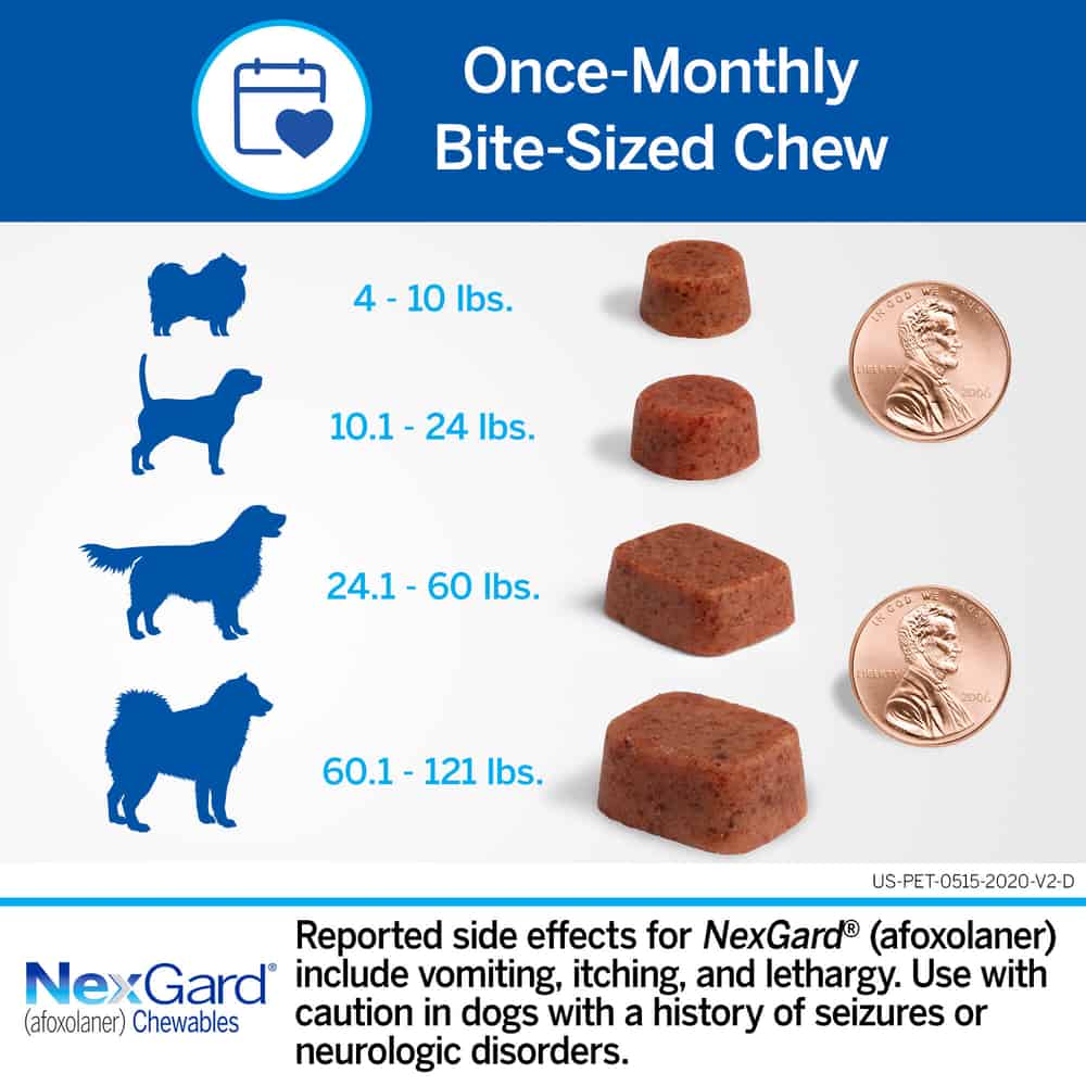 NexGard Vet-Recommended Flea & Tick Prevention Chewables for Dogs 4-10 lbs