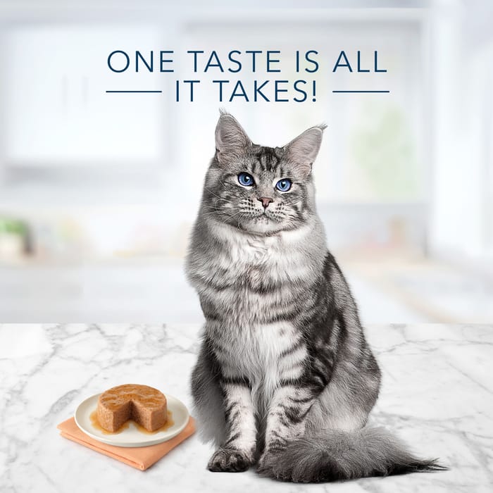 Blue Buffalo Tastefuls Mature Pate Chicken Entree Wet Cat Food 3 oz Can 12-Pack