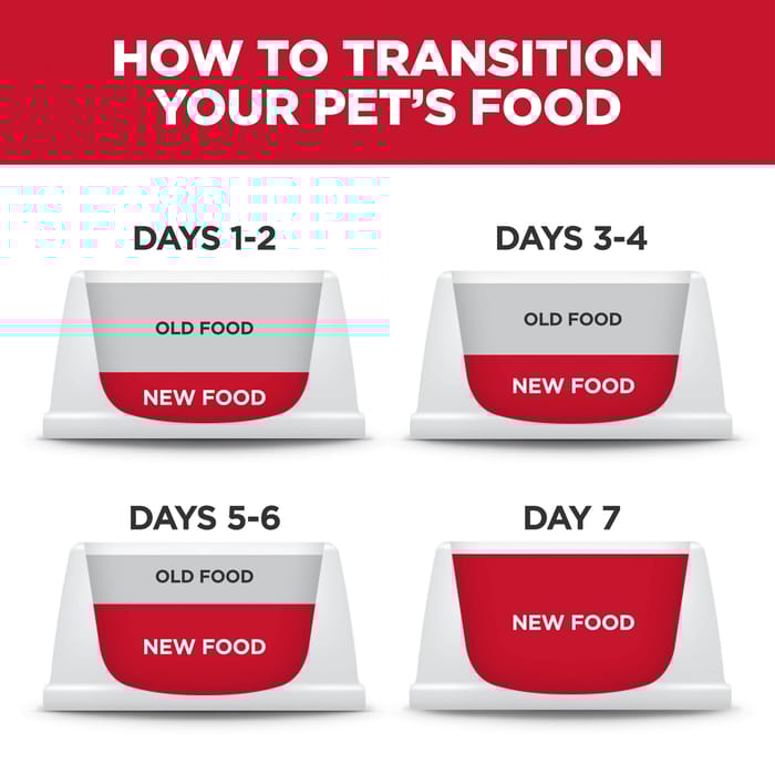 Hill's Science Diet Kitten Dry Cat Food: Chicken for Healthy Growth & Brain