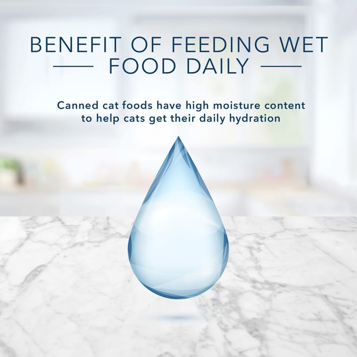 Blue Buffalo Tastefuls Mature Pate Chicken Entree Wet Cat Food 3 oz Can 12-Pack