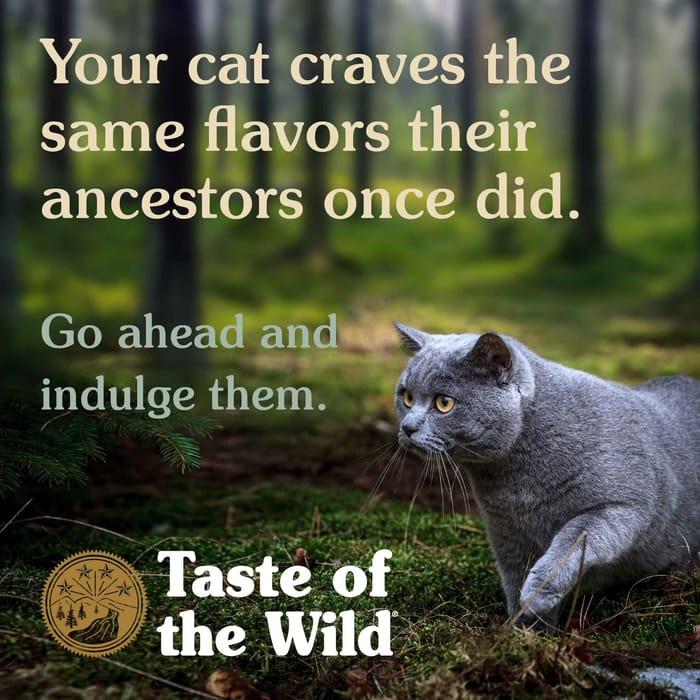 Taste of the Wild Canyon River Feline Recipe: Trout Salmon Wet Cat Food