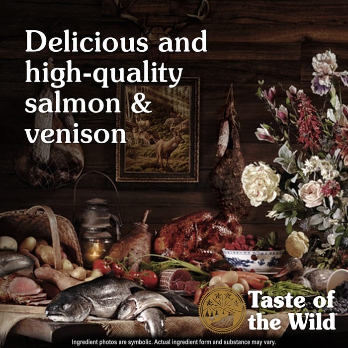 Taste of the Wild Rocky Mountain Feline Salmon & Venison Grain-Free Wet Cat Food